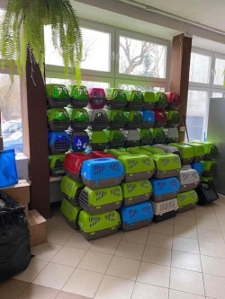 Działania Samorządu Uczniowskiego